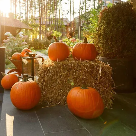 Aleksandrow Villa Aleksandrow (Grojec)