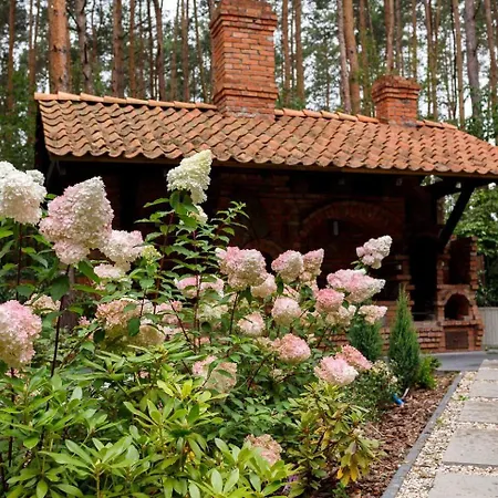 Villa Aleksandrow Aleksandrow (Grojec)