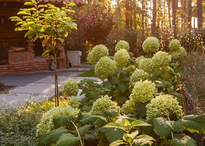 Villa Aleksandrow Aleksandrow (Grojec)